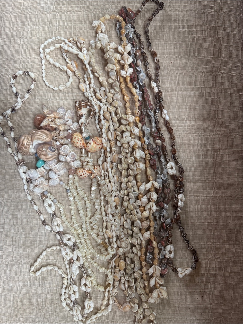 Set of Ten Assorted Natural Shell Necklace Lot in Cream, Tan & Brown